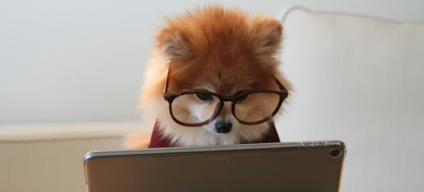 品牌颜色使用策略调整：不再全产品统一应用