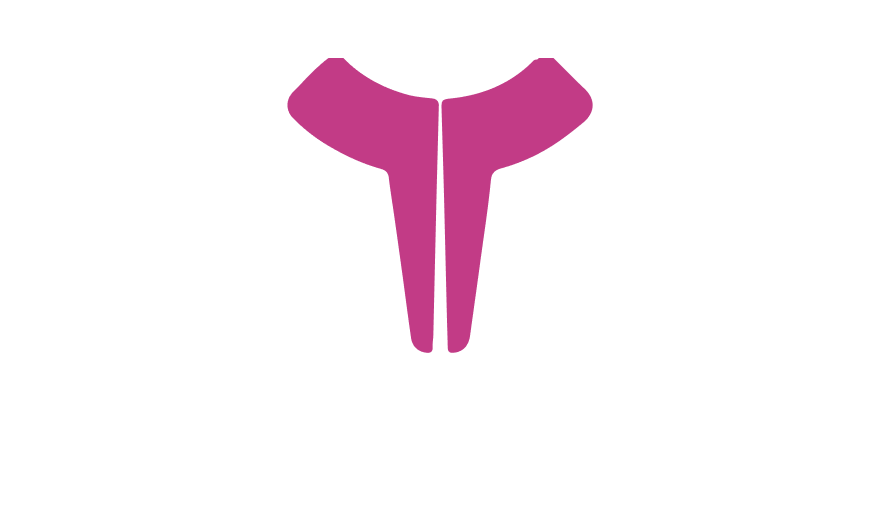 央山-医疗手机机器人设计