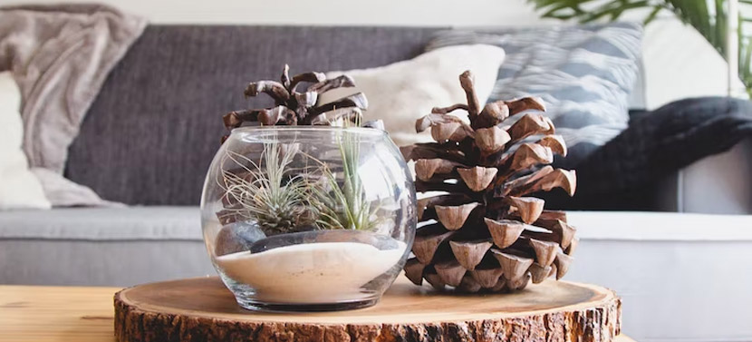 什么是双钻设计模型？4个应用阶段是什么？