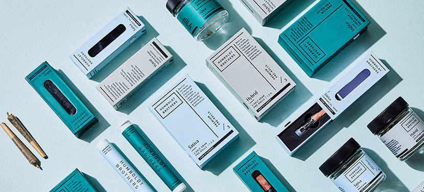 企业品牌设计及策划书的主要内容是什么？策划思路包括什么？