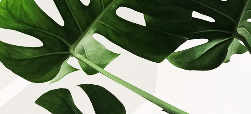 如何选择一个好的UI设计公司？衡量标准有哪些？