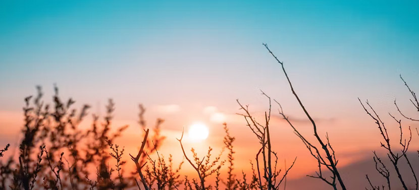 灵感源于大自然中的，UI配色方案设计及应用